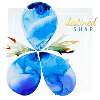 Welcome to Our SHAP Destined Website!