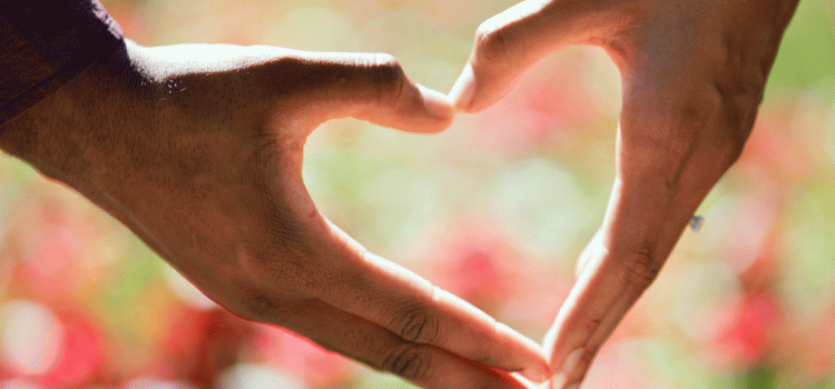 You Want to Adopt! Now What?