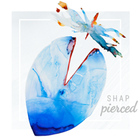Welcome to Our SHAP Pierced Website!